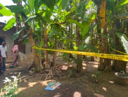 Tragis ! Nenek 70 Tahun di Aceh Utara Ditemukan Tewas Misterius di Rumahnya, Perhiasan Raib
