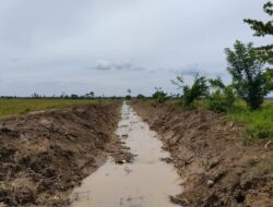 Pemerintah Gampong Babah Geudubang Aceh Utara Apresiasi Nasrizal, SE (Cek Bay) atas Bantuan Normalisasi Saluran Pembuangan