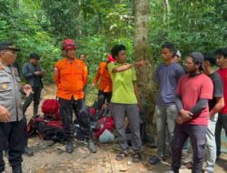 ‎Pendaki Asal Aceh Utara Dilaporkan Hilang di Gunung Seulawah, Tim SAR Kerahkan Drone Thermal dan Anjing Pelacak