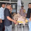 Wisata Berujung Duka, Mahasiswa Asal Langsa Meninggal Dunia Tenggelam di Pante Bahagia Aceh Utara