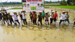 Pemerintah Aceh Jelaskan Posisi Bantuan Kementan untuk Pemulihan Sawah dan Kebun