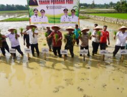 Pemerintah Aceh Jelaskan Posisi Bantuan Kementan untuk Pemulihan Sawah dan Kebun