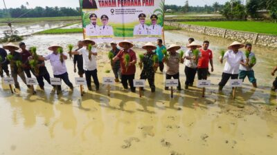 Pemerintah Aceh Jelaskan Posisi Bantuan Kementan untuk Pemulihan Sawah dan Kebun