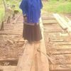 Viral! Jembatan Lapuk dan Bolong Jadi Akses Utama Menuju SD Pedalaman Aceh Utara, Guru : Tolong Diperbaiki